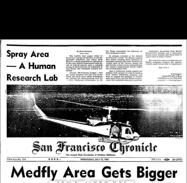 San Francisco Chronicle front page, July 15 1981, Medfly Area Gets Bigger